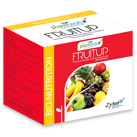 FruitUP