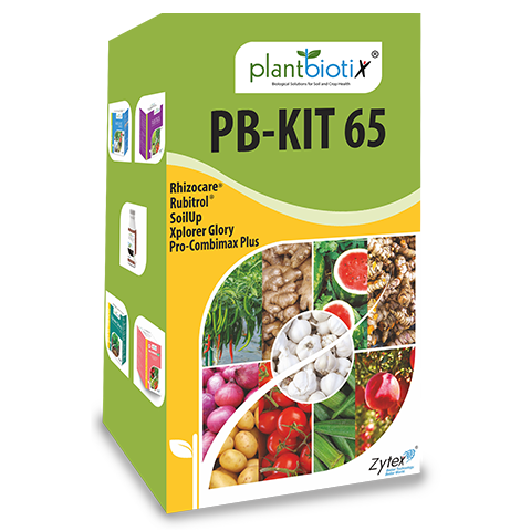 PB Kit 65