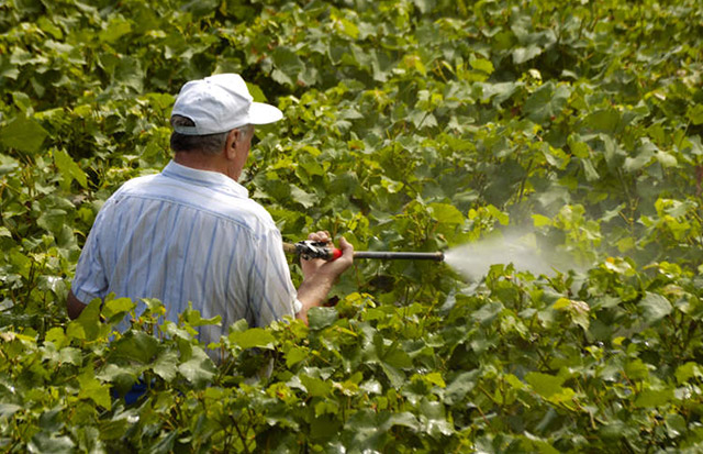 Microbial based pesticide residue degradation