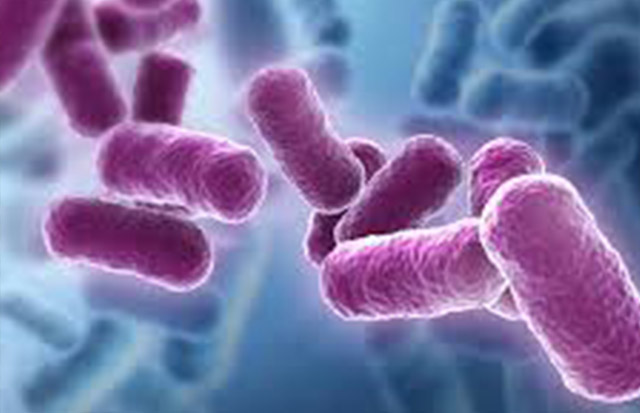 Microbial based pesticide residue degradation