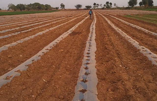 Soil health research & Innovation Facility