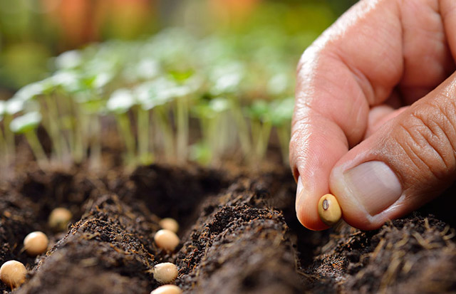 Soil health research & Innovation Facility