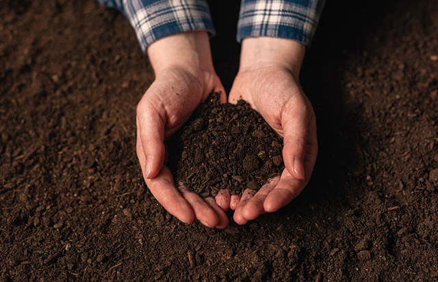 Soil health research & Innovation Facility