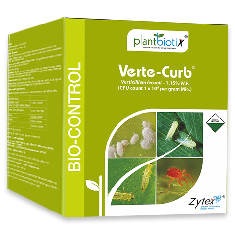 Verte-Curb